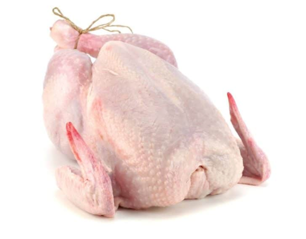 chicken