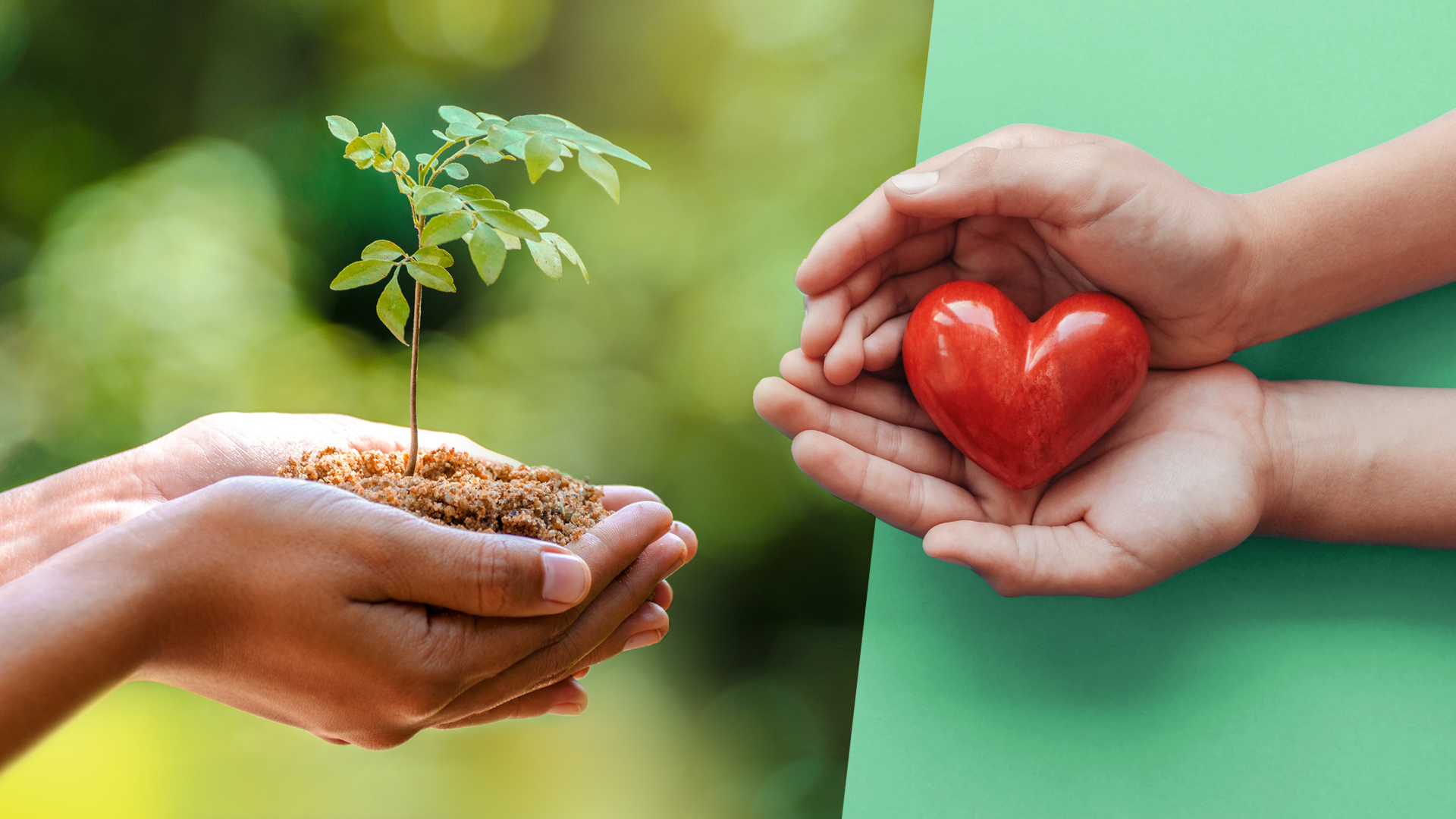 SyncForce product development health and sustainability