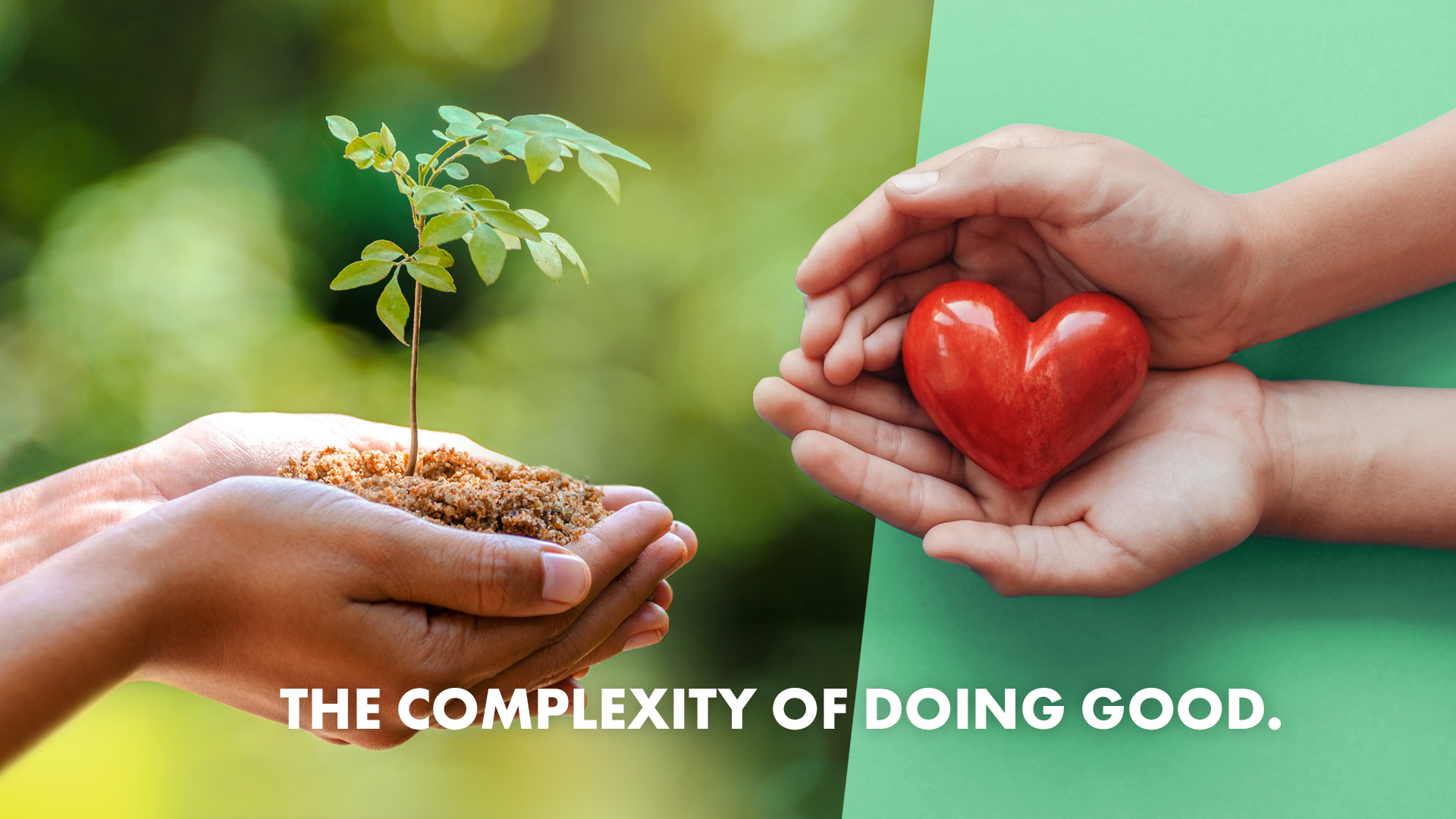 one pair of hands protecting a small tree and another pair of hands protecting a hart